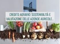 Immagine di Credito agrario: la valutazione dell’azienda agricola ai fini dell’affidamento